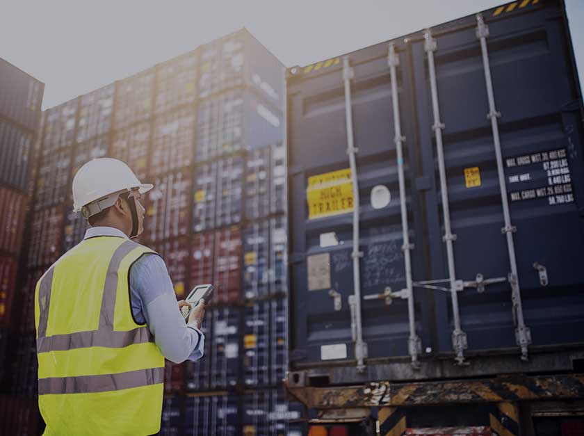 Survey and Inspection Services